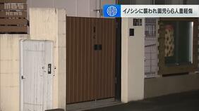 門を出たら突然イノシシが体当たり…こども園の３歳児ら次々襲われる　５人重軽傷　直前に６０代男性襲われケガ　イノシシは殺処分　兵庫・姫路市|TBS NEWS DIG