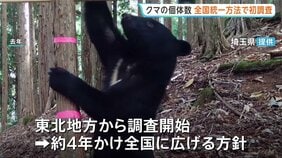 クマの個体数　全国統一の手法で初調査　800台以上のカメラを設置しクマの胸の模様で個体を識別　きょうから|TBS NEWS DIG