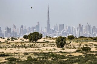 UAEがイランに報復攻撃－背後に急接近のイスラエル、安保で協力強化| TBS CROSS DIG with Bloomberg