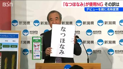 48年前にカタカナで福井県が登録 新潟県の極早生新品種米『なつほなみ