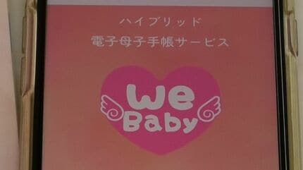 ❤︎❤︎ 毎週月曜日金曜日発送 ❤︎❤︎　母子手帳 img_34bd5100b73d253a1d2bc00696