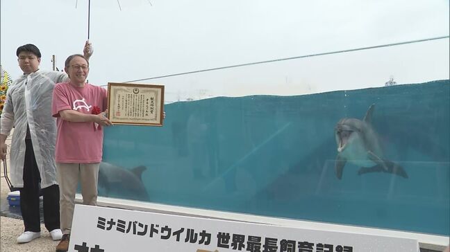 50年間感動をありがとう　半世紀にわたってオキちゃんショーで活躍の2頭に観光特別賞|TBS NEWS DIG