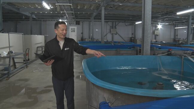 ICTを活用し安定した陸上養殖事業が可能に NTTコミュニケーションズが沖縄県内企業と連携して開発|TBS NEWS DIG