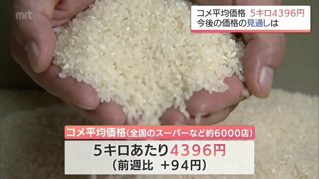 全国の平均価格は前週より94円高い4396円 高止まりが続くコメ価格 宮崎県内の現状と見通し|TBS NEWS DIG