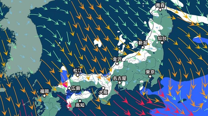 【大雪情報】近畿は24日にかけて大雪に…どこでどれだけ降る？雪の予報詳細　交通障害に注意を【雪と雨のシミュレーション】|TBS NEWS DIG