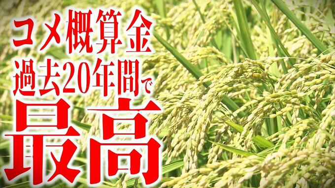 いずれも過去20年間で最高に　青森県のコメの概算金「今までにない金額」農家は驚き　東北は軒並み増額【東北6県の主要銘柄の「コメ概算金」まとめあり】　|　青森のニュース│ATV NEWS│青森テレビ