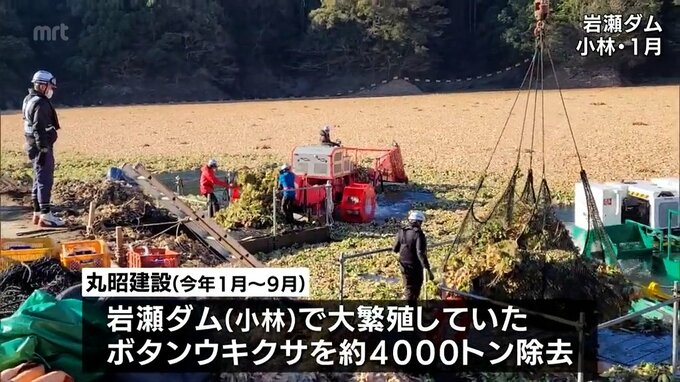 小林市のダムで大繁殖 特定外来生物「ウキクサ」を除去　都城市の建設会社に宮崎県から感謝状　|　MRTニュース ｜ ＭＲＴ宮崎放送