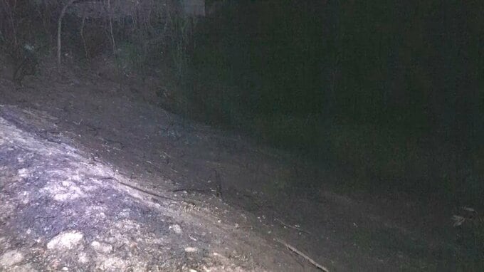 立ち木や下草など約400平方メートルが焼ける火事　焼け跡から男性1人の遺体が見つかる　伊那北高校の北側の雑木林　長野・伊那市|TBS NEWS DIG