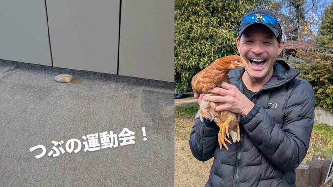 【照英】 “愛ハムスター” 愛犬・愛鶏に次いで初登場「愛娘8歳が帰宅すると運動会」　フォロワー絶賛「走りたい放題だ！」|TBS NEWS DIG