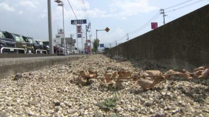 ビッグモーター店舗前の街路樹が消えた!? 国が調査に乗り出す　|　愛媛のニュース - Nスタえひめ｜あいテレビは6チャンネル
