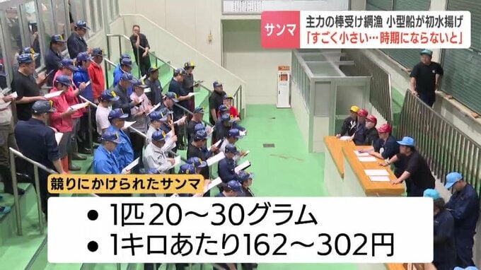 市場の競りの様子