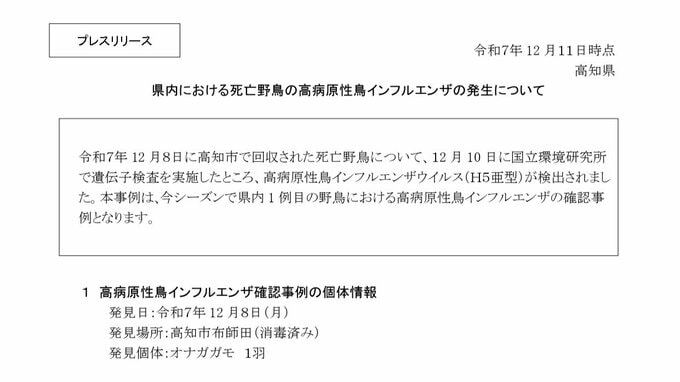 死んだ野鳥から「高病原性鳥インフルエンザウイルス」検出　野鳥の感染確認は今シーズン初、会議で対応を協議へ【高知】　　|　高知のニュース・天気｜KUTV NEWS | KUTVテレビ高知