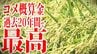 いずれも過去20年間で最高に　青森県のコメの概算金「今までにない金額」農家は驚き　東北は軒並み増額【東北6県の主要銘柄の「コメ概算金」まとめあり】　|　青森のニュース│ATV NEWS│青森テレビ