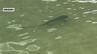 ビーチにサメ3匹現れ一時遊泳禁止に 小魚を追いかけ浅瀬まで回遊か  那覇市の波の上ビーチ　|　沖縄のニュース｜RBC 琉球放送