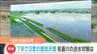 7年間で“3回”も決壊した河川「精神的にも金銭的にも限界」な地域住民　救いの治水対策？「流域治水」とは　　|　宮城のニュース│tbc NEWS│tbc東北放送
