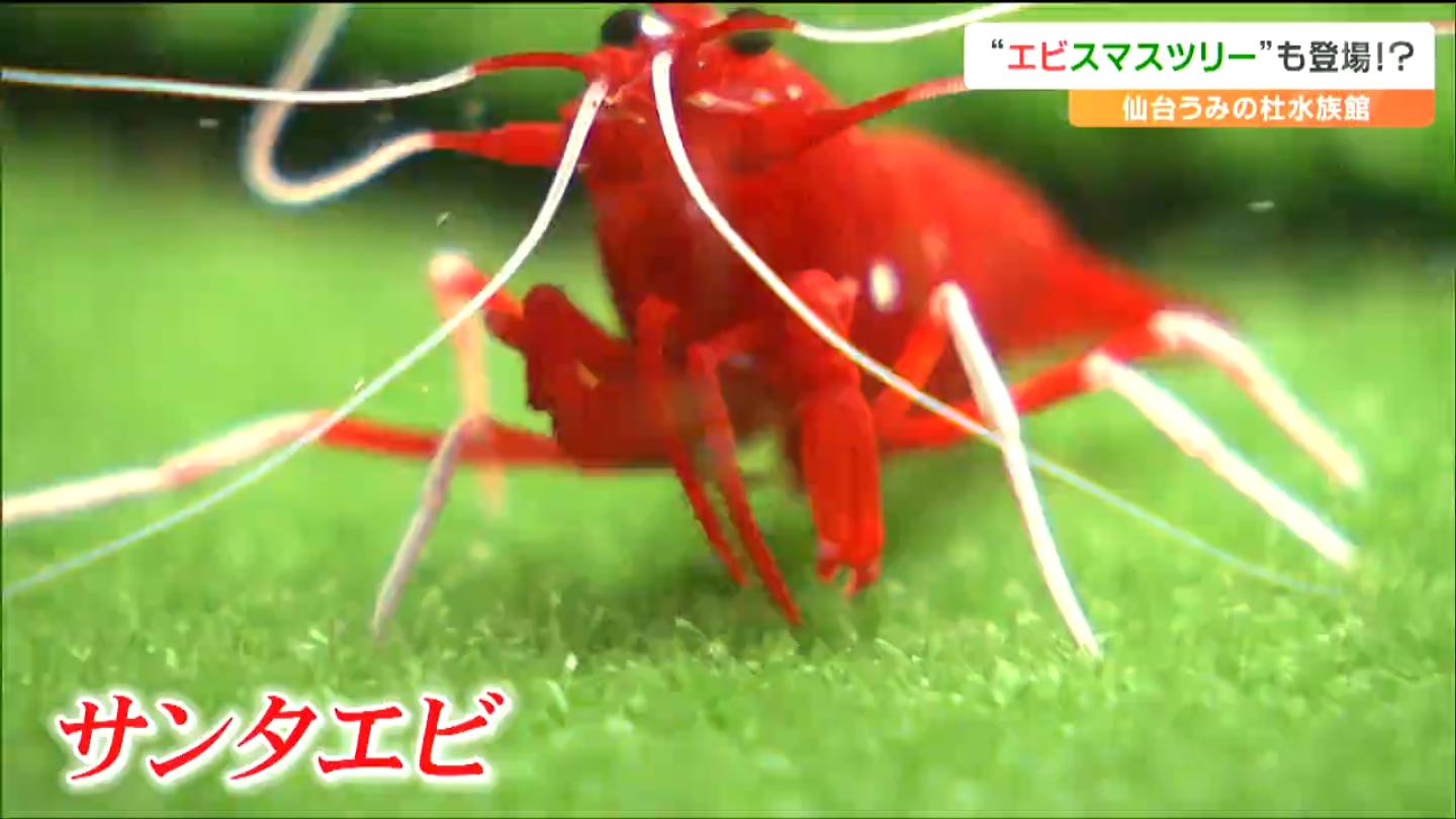 img_da927178bfe3d146d02b940601