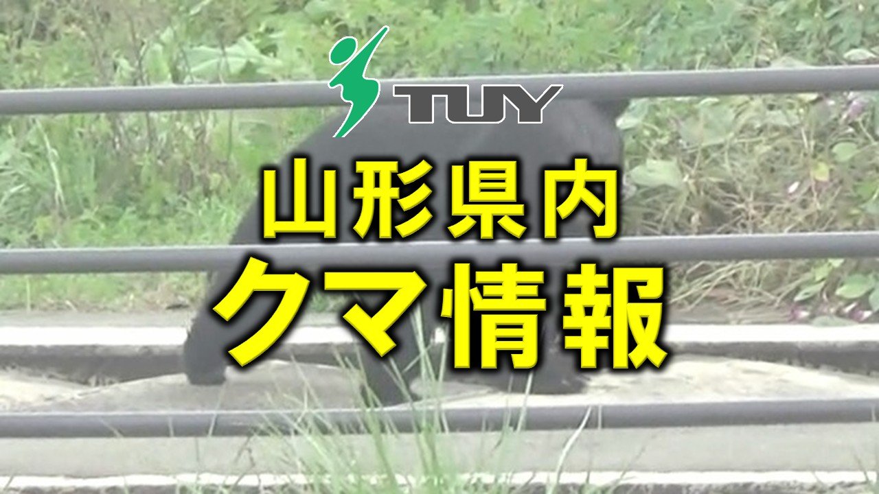 クマスプレーを噴射→クマ逃走 山菜採りのため山に入った39歳男性が