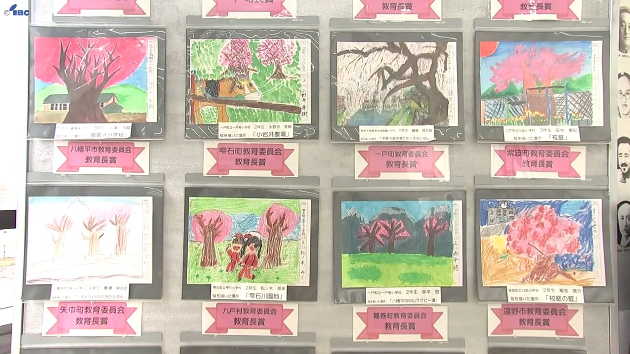 石割桜や小岩井農場そして高松の池など舞台に小学生が描く 「桜の札所