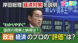 総理会見をプロが採点!わからないと評判の「定額減税」はわかりやすくなった?【ひるおび】|TBS NEWS DIG
