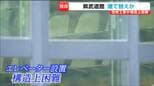 【独自】バリアフリー化を進める県武道館の改修  "エレベーター設置困難"である理由とは？ 宮城県は建て替え含め検討　|　宮城のニュース│tbc NEWS│tbc東北放送