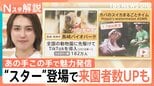 カバのASMRに泥沼のペンギン相関図!?“バズる”動物園・水族館の舞台裏　あの“スター動物”の今は？【Nスタ解説】|TBS NEWS DIG