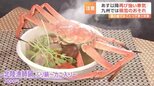 再び厳しい寒気が列島に…九州では積雪のおそれも、横浜では“こたつでご当地鍋”|TBS NEWS DIG