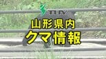 クマスプレーを噴射→クマ逃走 山菜採りのため山に入った39歳男性がクマに襲われる 左腕にケガ(山形・鶴岡市)|TBS NEWS DIG