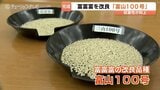 収量性が向上！富山のブランド米「富富富」の改良品種「富山100号」　国に品種登録の申請　2030年めどに導入へ　富山　|　富山のニュース｜天気・防災｜チューリップテレビ