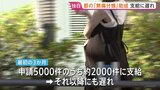 【独自】東京都の「無痛分娩」助成 “想定超える申請”で支給に遅れ 去年10月から“最大10万円” 都道府県で初|TBS NEWS DIG