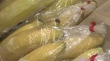 「例年より1割程度は…」バナナが値上がり 価格安定で今オススメの果物は? | 山梨のニュース | UTYテレビ山梨