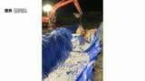 家畜伝染病「豚熱」防疫措置完了 富士宮市の養豚場＝静岡県【詳報】　|　静岡のニュース | SBSNEWS | 静岡放送