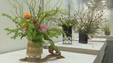 華道家144人の個性あふれる1年の集大成を展示　山梨県華道協会展　甲府市|TBS NEWS DIG