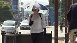 盛岡で4日連続の真夏日 66年ぶりの記録 洋野町種市を除いて夏日を観測|TBS NEWS DIG