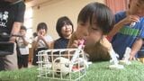 子どもの3人に1人が「お口ポカン」＝「口腔機能発達不全症」　虫歯・歯周病・感染症…健康・発達に様々なリスク　改善に役立つ「ピロピロ笛」とは？|TBS NEWS DIG