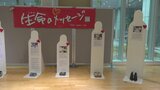 「生きられなかった思い、遺族の声に耳を…」交通事故の被害者の遺品や等身大パネルなど展示 交通安全を訴え|TBS NEWS DIG