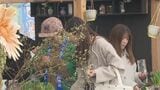 「若者歓迎」観葉植物ブームで変わる植木市　人気の苗はマツ→ブルーベリーやライラックなど“実や花”に　|　熊本のニュース｜RKK NEWS｜RKK熊本放送