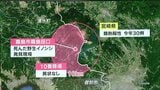 野生イノシシで「豚熱」を正式に確認 鹿児島県内では初 | 鹿児島のニュース|MBC NEWS|南日本放送