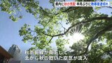 「今までよりだいぶ涼しい」熱帯夜が半月ぶりに途切れて秋の気配 平年より高温傾向は続く 広島|TBS NEWS DIG