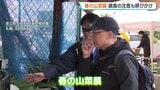 山菜と有毒植物の見分け方も学べるイベント「春の山菜展」　実物を展示し誤食への注意呼びかけ　北海道立衛生研究所薬用植物園|TBS NEWS DIG