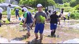 コメのおいしさ=食味の全国的コンクールで「4年連続金賞」信州・山ノ内町の小学校で2026年も5年生がコメ作り「どんどん育っていくのが楽しみです…」 | SBC NEWS | 長野のニュース | SBC信越放送