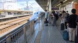 「またかという感じ」帰省ラッシュピークで駅も高速も富士山も大混雑…台風7号接近に気をもむ観光地 | 静岡のニュース | SBSNEWS | 静岡放送