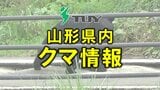 民家が近く緊急銃猟は実施しない方向 再び出没した場合、麻酔銃などで対応 けさから寒河江市でクマの目撃相次ぐ(山形) | 山形のニュース│TUYテレビユー山形