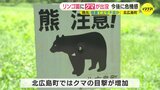 真夏のリンゴ園でクマ被害　地元「酷暑で山はエサ不足なのでは」 広島･北広島町|TBS NEWS DIG