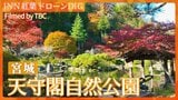 紅葉スケッチ~天守閣自然公園~【JNN 紅葉ドローンDIG 2025】|TBS NEWS DIG
