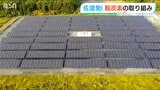 蓄電池×メガソーラー 佐渡市で目指す脱炭素 立ちはだかる離島ならではの壁 新潟県|TBS NEWS DIG
