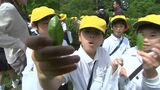 「たくさん取って帰りたい」高松市の栗林公園で小学生が茶摘み体験【香川】 | 岡山・香川のニュース | 天気 | RSK山陽放送