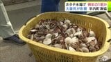 平内町漁協のホタテ水揚げ 例年の10分の1の見通し 青森県|TBS NEWS DIG