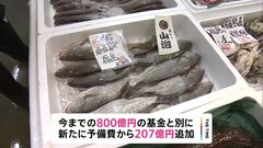 処理水めぐり水産事業者などへ1007億円支援| TBS CROSS DIG with Bloomberg