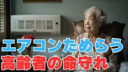 「エアコン使用を躊躇する高齢者たち」なぜ？彼らの命を守るため周囲ができることとは？【大阪府吹田市で高齢者2人が死亡】|TBS NEWS DIG
