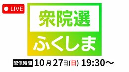 2024衆院選ふくしま 福島1区・福島2区・福島3区・福島4区開票速報【衆議院議員総選挙2024】|TBS NEWS DIG